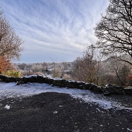 Sligo Forest Retreat Exteriör bild