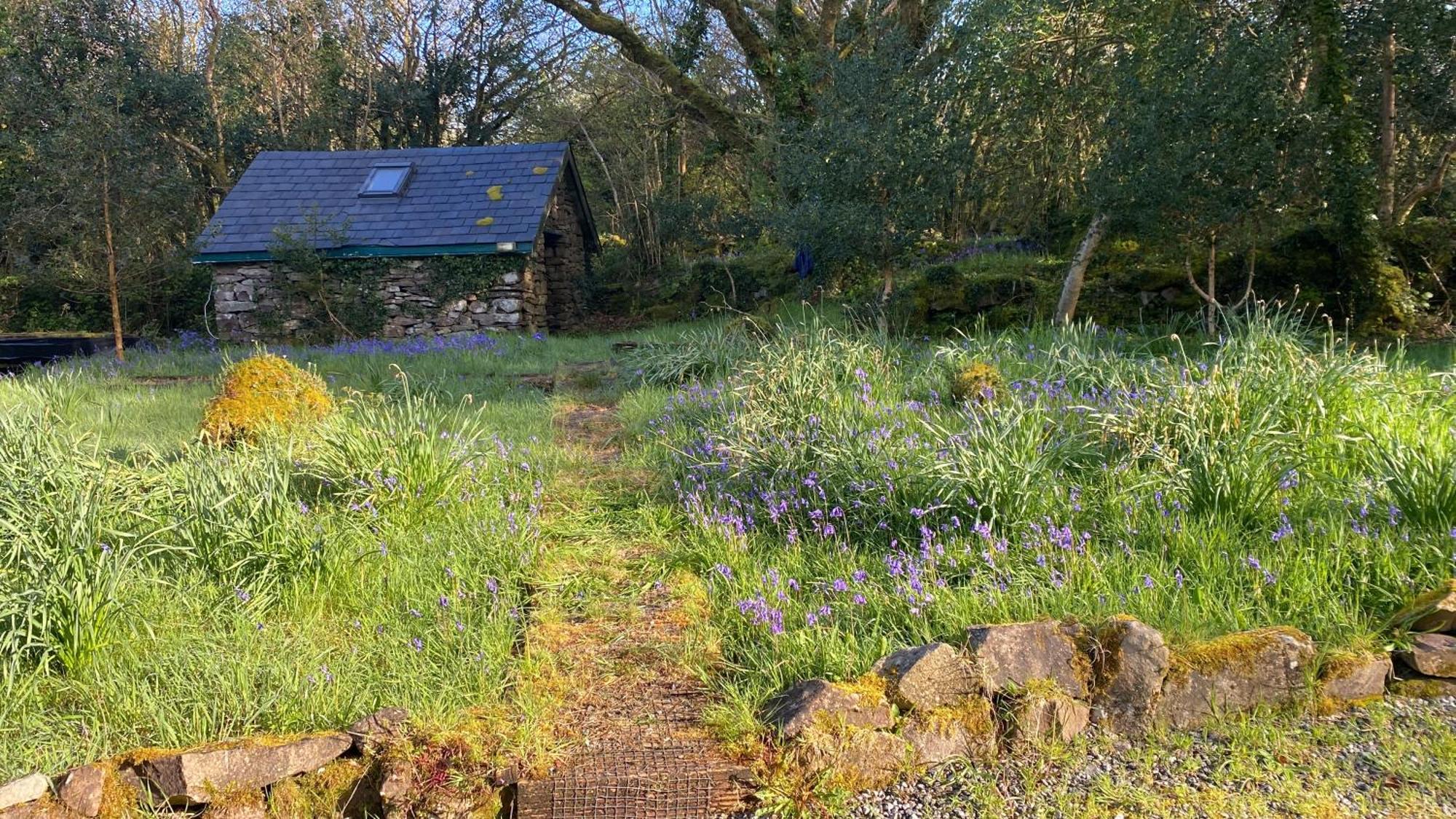 Sligo Forest Retreat Exteriör bild