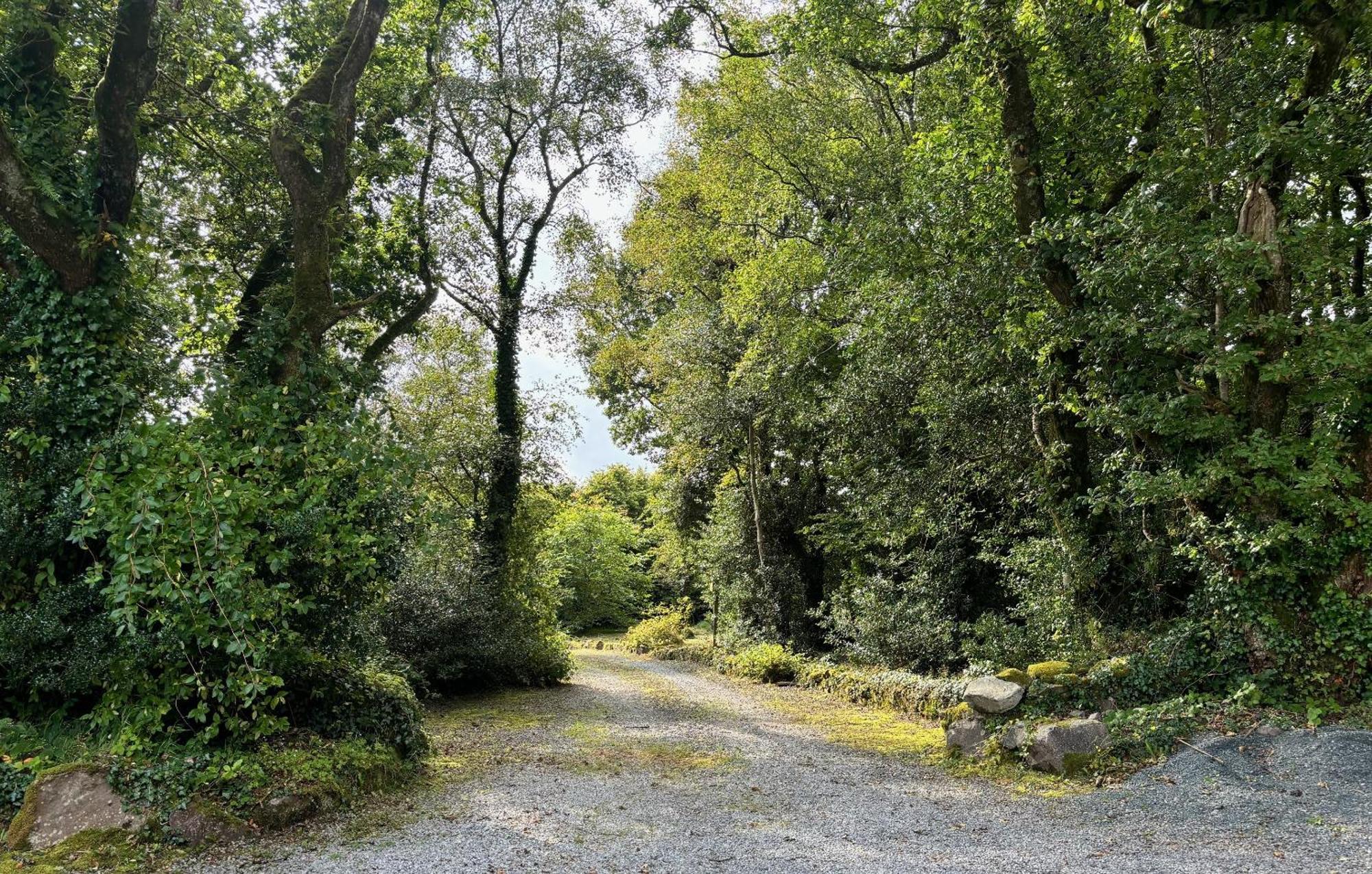 Sligo Forest Retreat Exteriör bild
