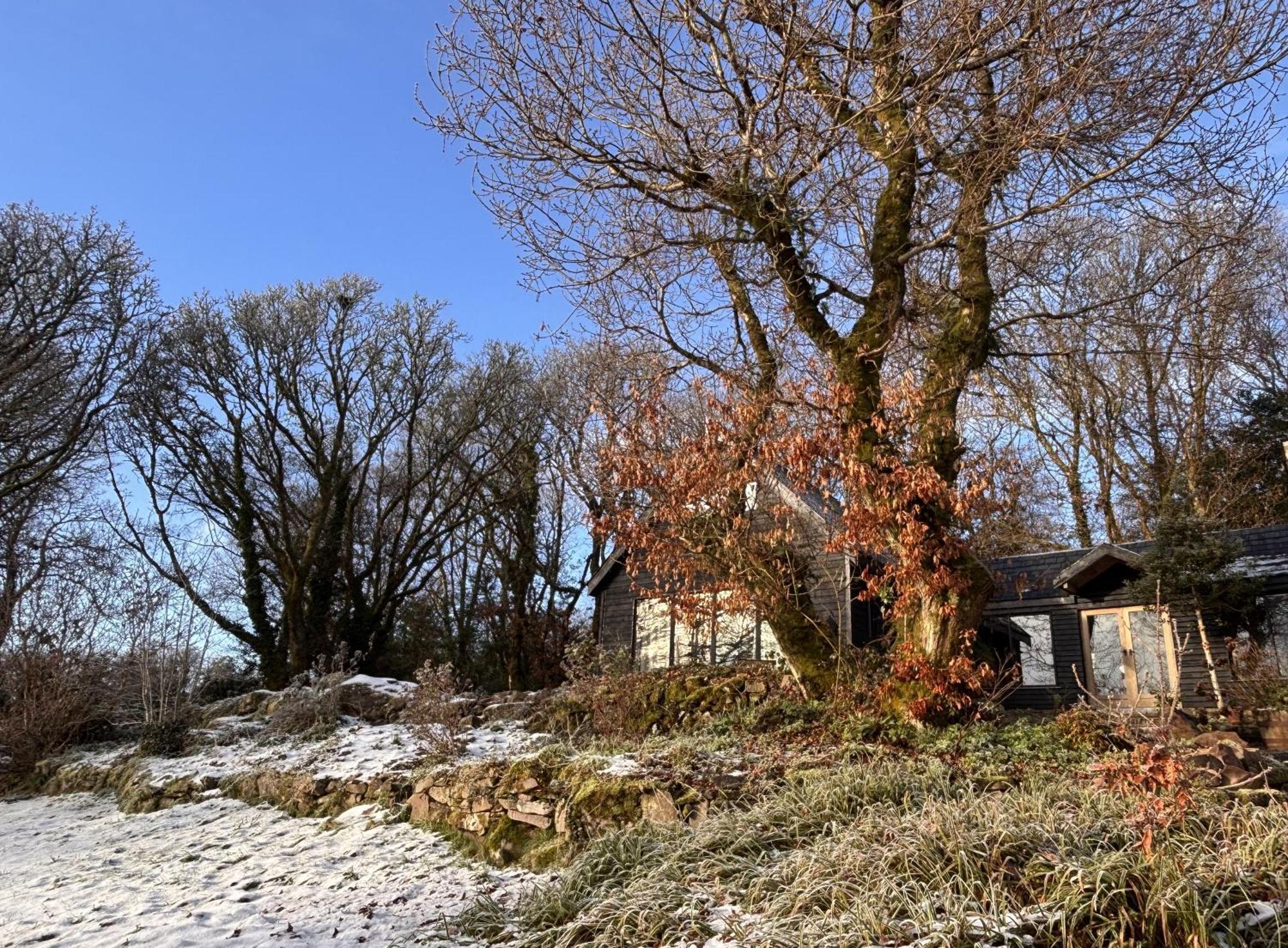 Sligo Forest Retreat Exteriör bild